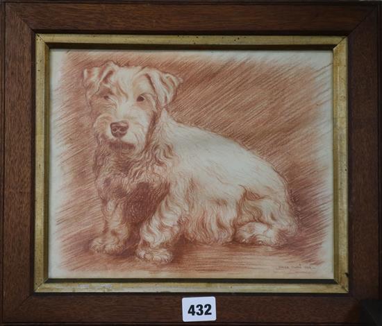 Harold Owen, sepia chalk, portrait of a terrier, signed and dated 1929, 22 x 27cm